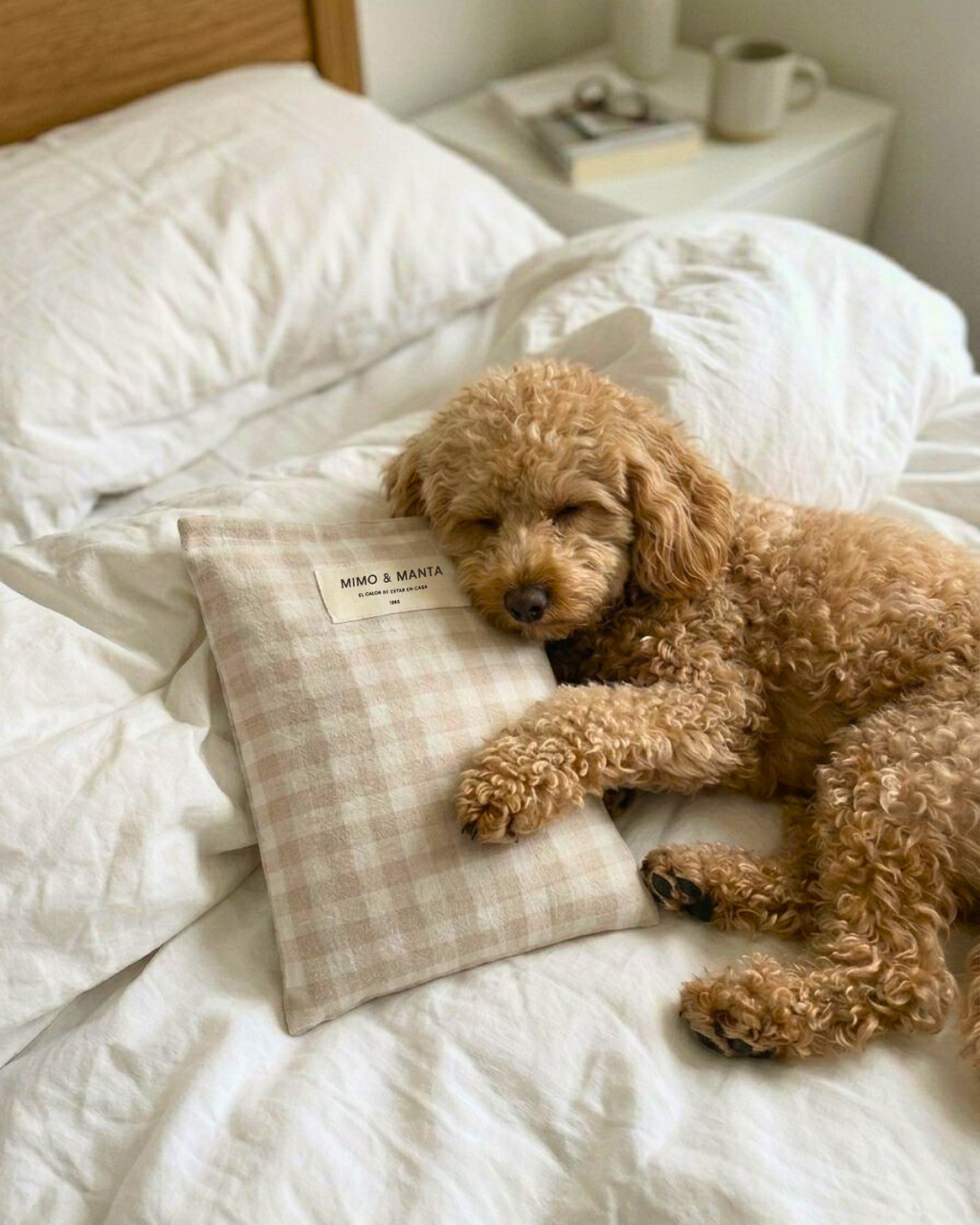 perro con saco térmico de semillas