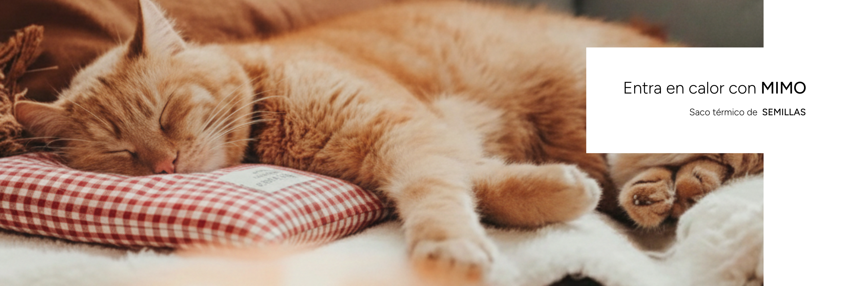 MIMO & MANTA bolsas de semillas para adultos, niños y mascotas